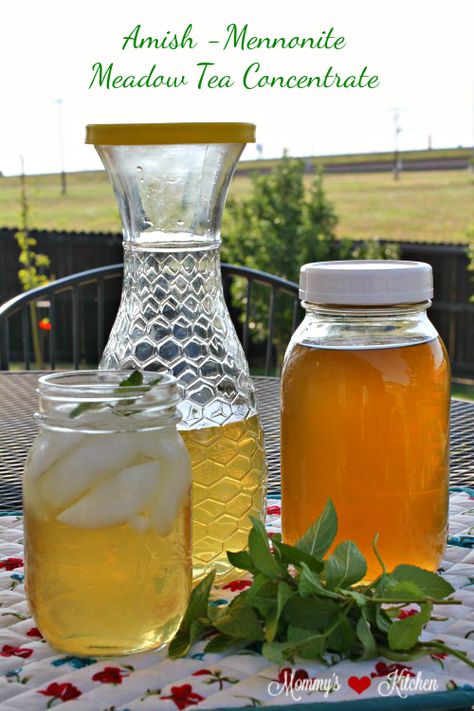 How to Make Amish - Mennonite Meadow Tea — Mommy's Kitchen Amish Amoxicillin Recipe, Meadow Tea Recipe, Freezer Apple Pie Filling, Meadow Tea, Quick Supper, Cottage Recipes, Nonalcoholic Drinks, Mennonite Recipes, Texas Kitchen