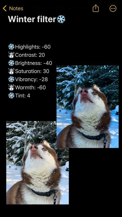 Winter Photo Filter, How To Add Filters To Photos, Winter Photo Edit, Winter Filter Iphone, Winter Picture Ideas For Instagram, Aesthetic Photo Settings, Winter Photo Ideas Instagram, Aesthetic Winter Pics, Winter Pictures Aesthetic
