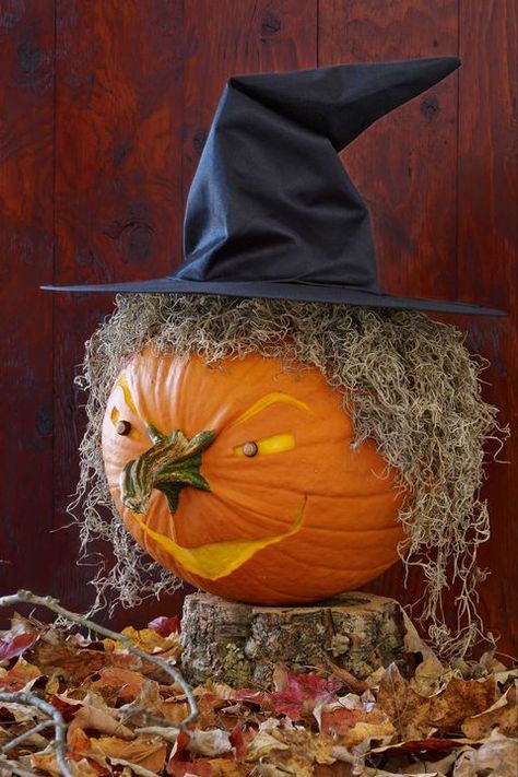 Pumpkin Witch Face, Funny Pumpkin Carvings, Halloween Pumpkin Crafts, Pumkin Carving, Amazing Pumpkin Carving, Easy Pumpkin Carving, Lantern Designs, Pumpkin Painting Ideas, Pumpkin Carving Ideas