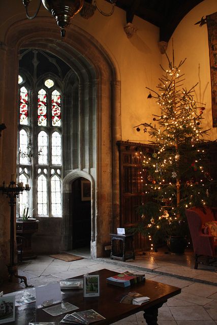 Athelhampton House, Dark Academia Christmas, Dark Christmas, Hogwarts Aesthetic, Christmas Feeling, Brasov, Victorian Christmas, Winter Wonder, Christmas Mood