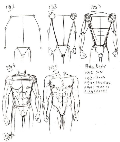 Body Tut, Male Body Drawing, Human Body Drawing, Body Tutorial, Drawing Body Poses, Human Anatomy Drawing, Body Sketches, Body Drawing Tutorial, Human Figure Drawing