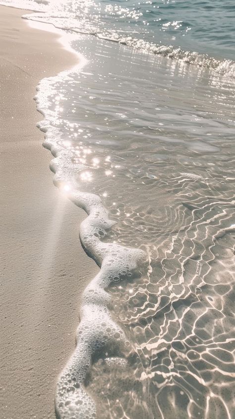 Beach wallpaper shoreline outdoors reptile. | Free Photo - rawpixel Nature, Phone Beach Wallpaper, Iphone Wallpaper Palm Trees, Ipad Wallpaper Beach, Beach Wallpaper Ipad, White Beach Wallpaper, Beach Backgrounds For Editing, Beach Sand Wallpaper, Cute Beach Wallpapers