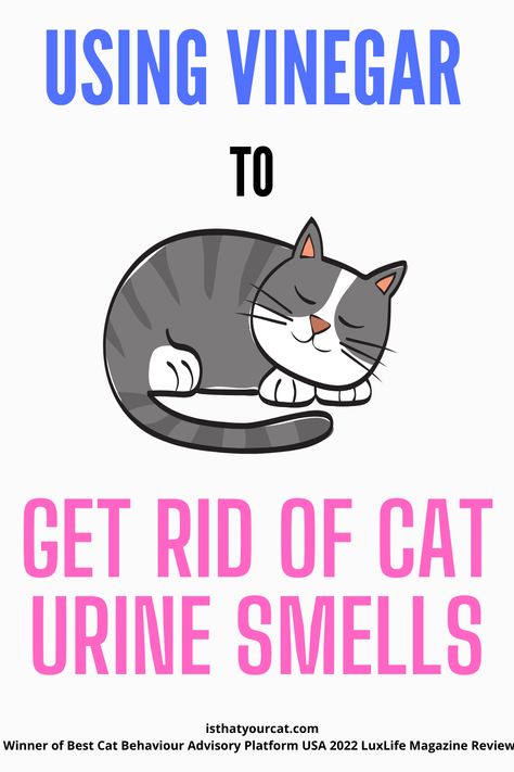 How To Get Out Cat Urine Smell, Remove Cat Urine Smell From Carpet, Cat Urine Smell Remover Odor Eliminator, Diy Cat Urine Odor Remover, How To Get Cat Pee Smell Out Of Wood, Neutralize Cat Urine Odor, Cat Spray Smell How To Remove, How To Remove Cat Urine Smell, Get Rid Of Cat Urine Smell