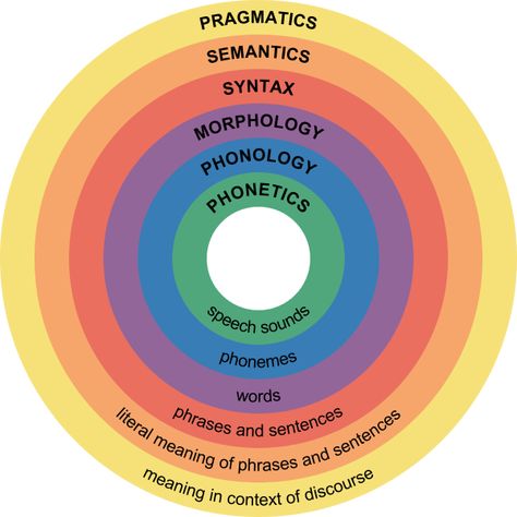 Linguistics Study, Phrases And Sentences, Language Acquisition, Speech Path, Speech Therapy Resources, Teach English, Speech Activities, Words And Phrases, Speech Pathology