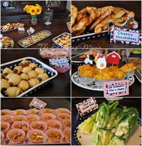 farm birthday party food Farm Themed Birthday Party Food, Farm Party Foods, Farmyard Party, Birthday Party Food Ideas, Farm Themed Party, Barnyard Birthday Party, Farm Theme Birthday, Farm Animal Party, Farm Animals Birthday Party