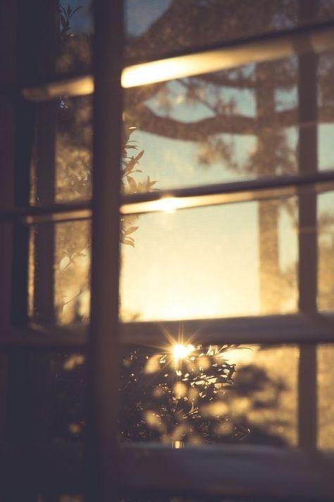 Through the window An Open Window, Foto Art, Window View, Trik Fotografi, Through The Window, Open Window, Beautiful Mind, Morning Light, Photography Nature