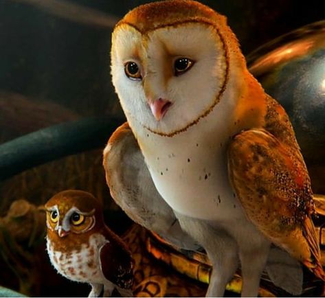 #the legends of guardians #die legende der wächter #soren #gylfie @thelegendsofgahoole Owls Of Ga'hoole, Guardians Of Ga'hoole, Legend Of The Guardians, Owl Books, Snow Owl, Animation Studios, Animal Study, Owl Pictures, The Guardians