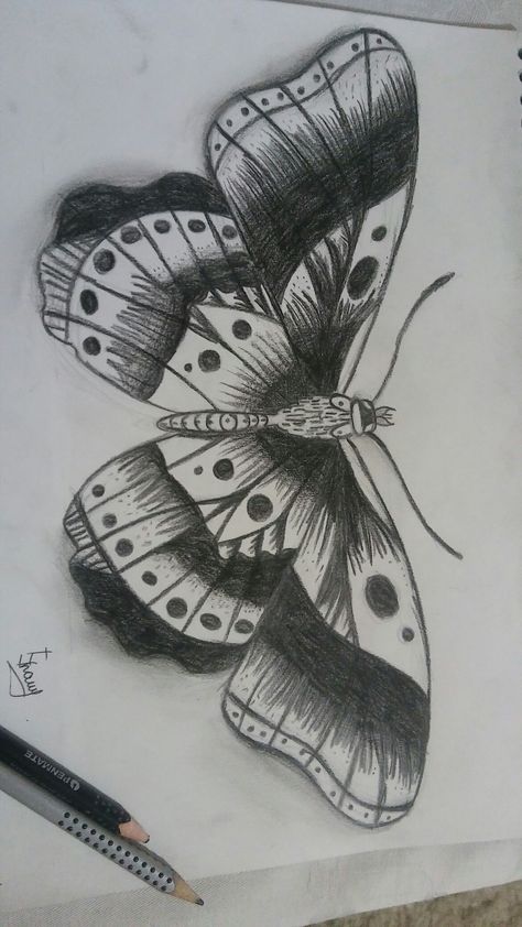 Harry Styles Butterfly Drawing, Harry Style Drawings, Butterfly Drawing Inspiration, Harry Styles Related Drawings, Harry Styles Butterfly Tattoo Drawing, Harry Styles Sketchbook, Harry Styles Inspired Art, Harry Styles Inspired Drawings, Harry Styles Drawing Ideas