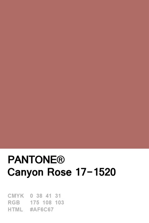 Pantone Canyon Rose 17-1520 Colour of The Day 08 January Color Palette Pantone, Rose Color Palette, Canyon Rose, Deco Pastel, Pantone Swatches, Pantone Palette, Pantone Colour Palettes, Color Of The Day, Color Inspo