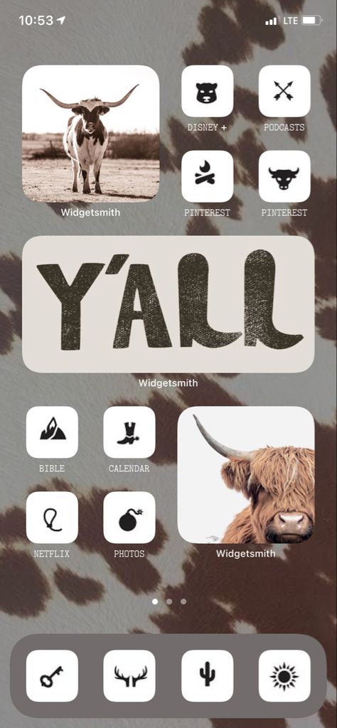 Punchy Homescreen, Western Iphone Widget Design, Country Wallpaper Iphone Widgets, Phone Themes Western, Western Phone Layout, Cow Print Home Screen Ideas, Phone Themes Country, Iphone Widgets Aesthetic Western, Western Aesthetic Phone Layout