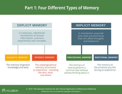 Memory Psychology, Teaching Aptitude, Episodic Memory, Introduction To Psychology, Learning Psychology, Types Of Memory, Psychology Notes, Human Memory, Psychology Studies