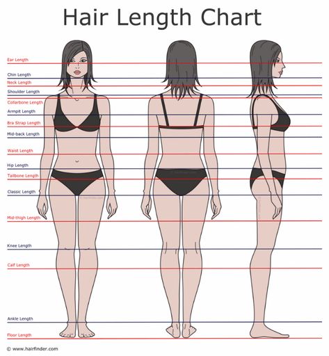 Hair Chart, Growing Your Hair Out, Hair Length Chart, Short Torso, Hair Length, Makeup Guru, Beauty Basics, Hair And Beard Styles, Length Hair