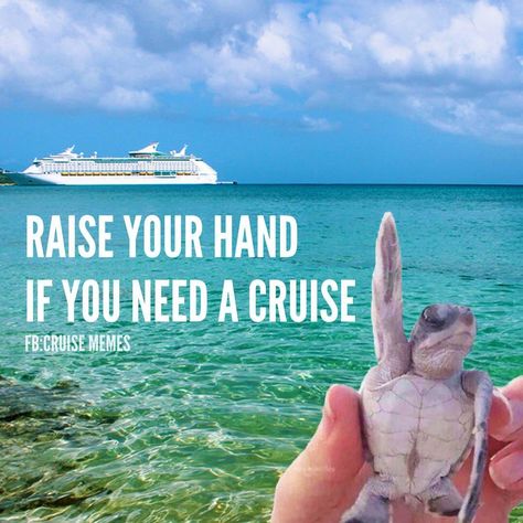 Cruise Humor, Cruise Memes, Vacation Quotes Funny, Vacation Meme, Cruise Quotes, Group Cruise, Cruise Pictures, Cruise Excursions, Vacation Quotes