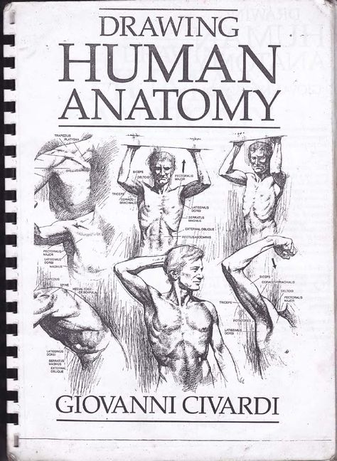 drawing human anatomy by Giovanni Civardi // http://pl.scribd.com/doc/117863683/drawing-human-anatomy-by-Giovanni-Civardi whole book here Drawing Human Anatomy, Beginner Drawing Lessons, Human Anatomy Drawing, Drawing Heads, Human Figure Drawing, Human Drawing, Basic Drawing, Comic Drawing, Book Drawing