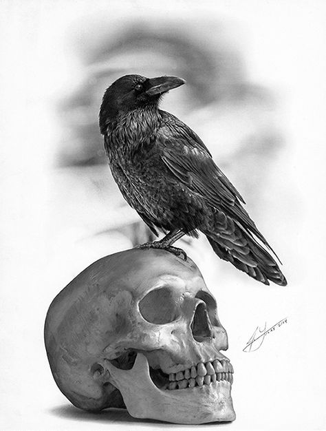 The Raven and The Skull - Pencil Drawing by Julio Lucas on Behance Edgar Allen Poe Tattoo, Edgar Allen Poe Art, Poe Tattoo, Crow Perched, Skull Reference, Crow Tattoo, Raven Tattoo, Gothic Tattoo, Allen Poe