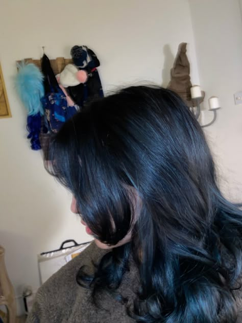 Midnight Blue Hair On Brown Hair, Fog Blue Hair, Raven Blue Hair Color, Blue Almost Black Hair, Dark Blue Hair On Brown Hair, Dark Blue Shirt Hair, Blue Hair Black Highlights, Blue Dye Over Brown Hair, Blue Babylights On Dark Hair