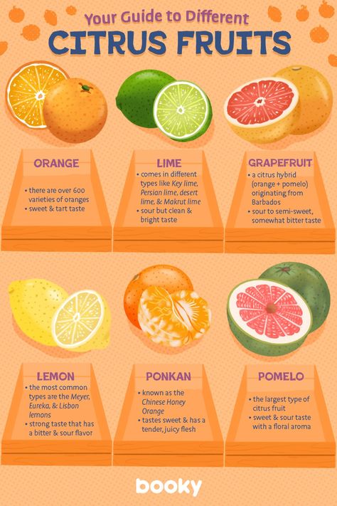 Different Types Of Food, Homemade Recipe Books, Fruit Smoothie Recipes Healthy, Fruit List, Food Vocabulary, Food Infographic, Tastemade Recipes, Sour Taste, Healthy Homemade Recipes