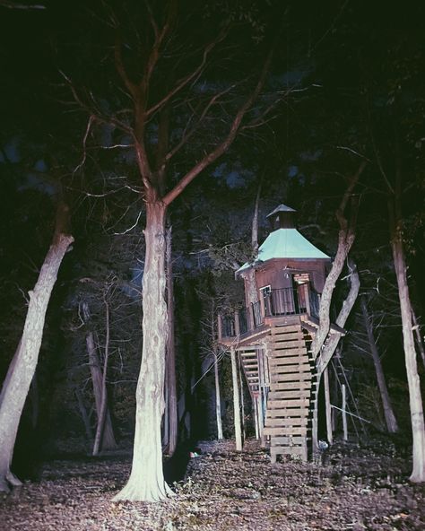 Grunge Places Aesthetic, Forest Horror Aesthetic, Horror Asthetics, Grunge Asthetics Photos, Analog Horror Aesthetic, Treehouse Aesthetic, Fairycore House, Dark Asthetics, Grunge Forest