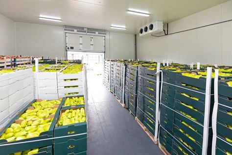 Freight Broker, Food Spoilage, Produce Storage, Small And Medium Enterprises, Cold Room, Outdoor Furniture Design, Storage Facility, Cold Storage, Crate Storage