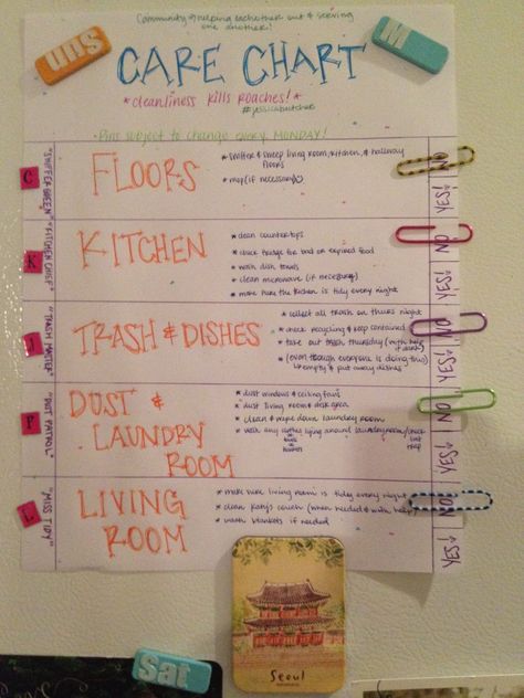 Chore Chart For Roommates, Roommate Apartment, Apartment Roommate, Roommate Organization, Apartment Ideas College, Roommate Ideas, Roommate Chore Chart, Apartment With Roommates, College Girl Apartment