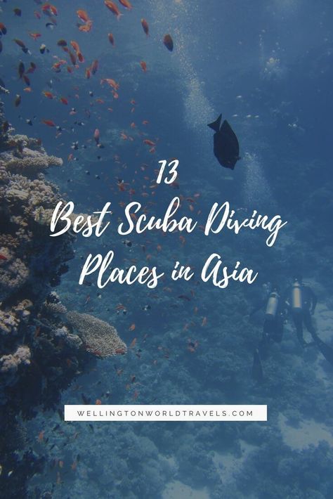 13 Best Scuba Diving Places in Asia - Wellington World Travels Thailand Adventure, Diving Board, Cave Diving, Best Scuba Diving, Scuba Diving Gear, Maui Vacation, Vacation Tips, Diving Gear, Mexico Vacation