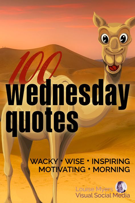 funny cartoon camel with words, wednesday quotes, wacky wise inspiring motivating morning. Wednesday Quotes Good Morning Humor, Wednesday Work Quotes, Funny Quotes Work, Wisdom Wednesday Quotes, Quotes For Wednesday, Work Week Quotes, Funny Wednesday Quotes, Quotes Wednesday, Funny Words Of Wisdom