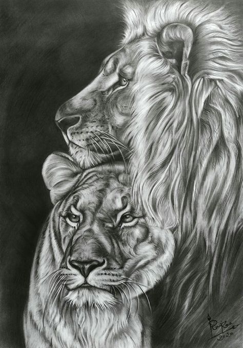 Charcoal Drawing of Lion couple by Artist Ravi Rao Lion Couple Art, Lion Couple Painting, Lion Couple Tattoo Design, Lion And Lioness Painting, Lion Couple Drawing, Couple Tattoos Lion And Lioness, Lion Drawing Realistic, Lion And Lioness Drawing, Lion Couple Tattoo