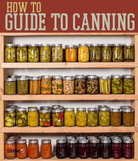 Emergency Preparation, Home Canning, Canning 101, Canning Food Preservation, Canned Food Storage, Canning Tips, Pressure Canning, Dehydrator Recipes, Pantry Staples