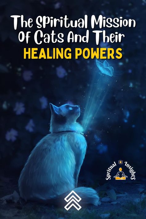 Sacred Geometry Meanings, Cat Spirit Animal, Beings Of Light, Animal Meanings, Cat Spirit, Animal Reiki, Aura Healing, Cat Repellant, Survival Books