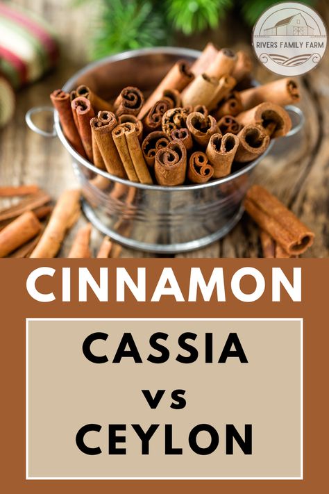 Cinnamon is more than a flavoring and decoration, and there is more than one type of cinnamon. Be sure you know the difference so that you can get the most out of your fall dinner ideas and winter drink ideas! Winter Drink Ideas, Cinnamon Hot Chocolate, Saigon Cinnamon, Cinnamon Extract, Fall Dinner Ideas, Cassia Cinnamon, Winter Drink, Cinnamon Coffee, Ceylon Cinnamon