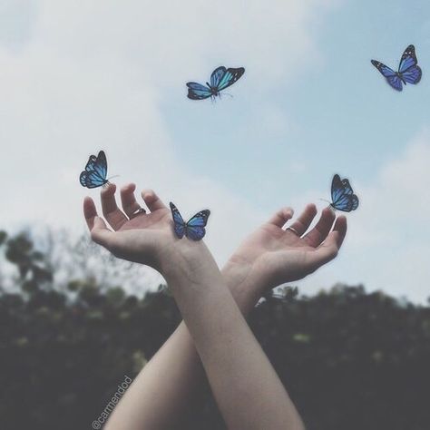 Imagem de butterfly, blue, and sky Ravenclaw Aesthetic, Everything Is Blue, Chloe Price, Light Blue Aesthetic, Hipster Grunge, Blue Butterflies, Images Esthétiques, Life Is Strange, Ravenclaw