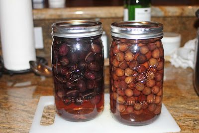 The Grub Files: Cooking with Camissonia: Finish Brine for Water-Cured Olives Garlic Sauce For Chicken, Olive Brine, Fresh Olives, Peppercorn Sauce, Pickling Salt, Brine Recipe, Glass Noodles, Char Siu, Black Olives