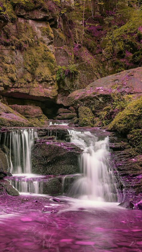 Pink waterfall Pink Waterfall, Waterfall Trail, Water Pictures, Largest Waterfall, Scenery Pictures, Beautiful Locations Nature, Beautiful Waterfalls, Magical Places, Nature Travel