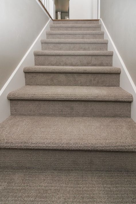 Modern Carpet On Stairs, Brown Carpet Stairs, Upstairs Carpet Ideas, Stairs With Carpet, Staircase Carpet, Staircase Carpet Ideas, Carpeted Staircase Ideas, Carpeted Stairs, Stair Carpet Ideas