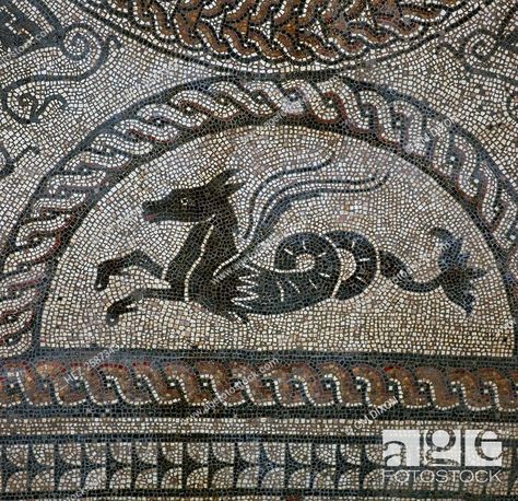 Roman Mosaic Art, Dolphins Mosaic, Islamic Mosaic, Floor Mosaic, Dark Beach, Byzantine Mosaic, Roman Mosaic, The Royal Palace, Mosaic Floor