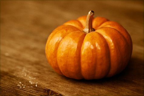 fall | somehow when I think "fall," I think pumpkin | Barbara Krawcowicz | Flickr Pumpkin Reference Photo, Pumpkin Reference, Pumpkin Background Wallpapers, Pumpkins Wallpaper, Carpet Ideas 2023, Pumpkin Photography, Pumpkin Background, Still Life Reference, Vegetable Painting