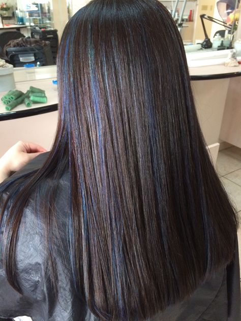 Dark brown hair with blue highlights Dark Brown Hair With Blue, Brown Hair Blue Highlights, Brown Hair With Blue Highlights, Blue Highlights In Brown Hair, Highlights Hair Ideas, Hair With Blue Highlights, Brown Hair With Blue, Highlights In Brown Hair, Blue Brown Hair