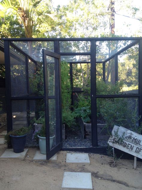 ideas Enclosed Garden Structures, Garden Enclosure Ideas, Growing Eggplant, Fenced Vegetable Garden, Mini Serre, Edible Gardens, Vegetable Garden Raised Beds, Organic Vegetable Garden, Laurel Canyon