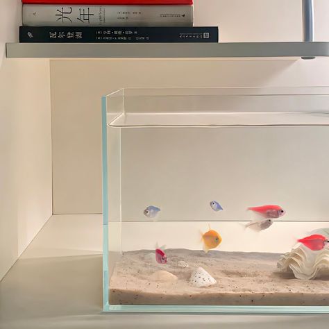 Fish Tank Themes, Fish Tank Terrarium, Aesthetic Light, Mood And Tone, Minimalist Room, Dream Apartment, Dream House Interior, Find Picture, Dream Rooms