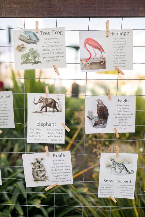 Animal Table Numbers Wedding, Zoo Themed Wedding Centerpieces, Zoo Wedding Theme, Animal Theme Wedding, Zoo Theme Wedding, Zoo Themed Wedding, Zoo Wedding Centerpieces, Santa Barbara Zoo Wedding, Science Museum Wedding