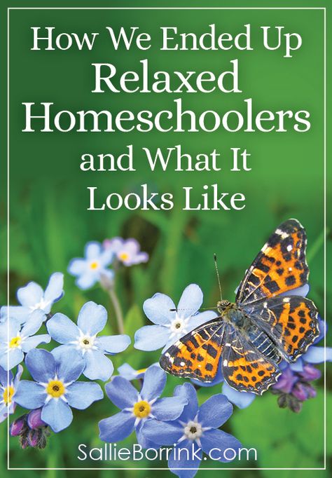 How We Ended Up Relaxed Homeschoolers and What It Looks Like - A Quiet Simple Life with Sallie Borrink Sonlight Homeschool, Relaxed Homeschooling, Middle School Counseling, World History Lessons, Homeschool Inspiration, Homeschool Encouragement, Homeschool Schedule, Homeschool Learning, Homeschool Life