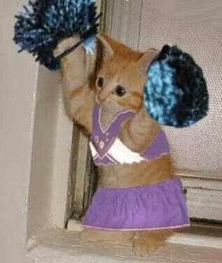 Cheerleader kitty Weight Watchers Core Plan, Cheerleading Memes, Biggest Loser Challenge, Cheerleader Gif, Funny Cheerleader, Cat Superhero, Cheer Funny, Brand New Day, Challenge Week