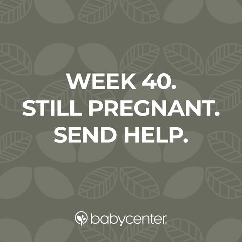 40 Weeks Pregnant Humor, 40 Weeks Pregnant Quotes, Pregnant Symptoms Signs, Pregnant Symptoms, Prenatal Development, Induction Labor, 40 Weeks Pregnant, Pregnancy Checklist, Prenatal Massage