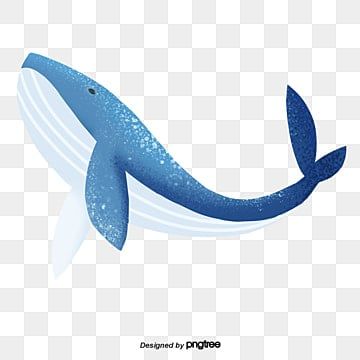 biru,kartun,dasar laut,air laut,lautan,organisme laut,ikan,ikan paus Tiffany Blue Background, Whale Drawing, Big Whale, Cartoon Whale, Whale Illustration, Desain Buklet, Blue Background Images, Waves Wallpaper, Cartoon Background