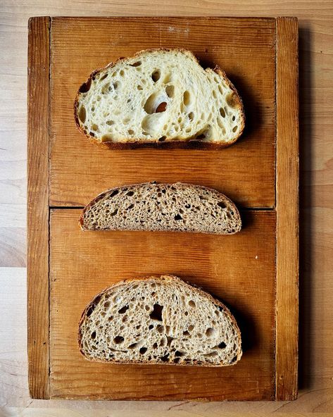 How To Make Your Own Bread Recipe By Combining Two Favorites | The Perfect Loaf Make Your Own Bread, Bread Brands, The Perfect Loaf, Sourdough Pizza, Bread Baker, Wood Fired Oven, Lemon Poppyseed, Latest Recipe, Sourdough Starter