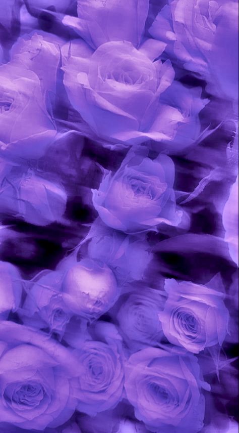 Light Purple Flowers Wallpaper, Aesthetic Purple Wallpaper Dark, Purple Wallpaper Flowers, Dark Lavender Aesthetic, Flower Purple Wallpaper, Black Purple Wallpaper, Purple Aesthetic Flowers, Lila Wallpaper, Purple Flowers Aesthetic