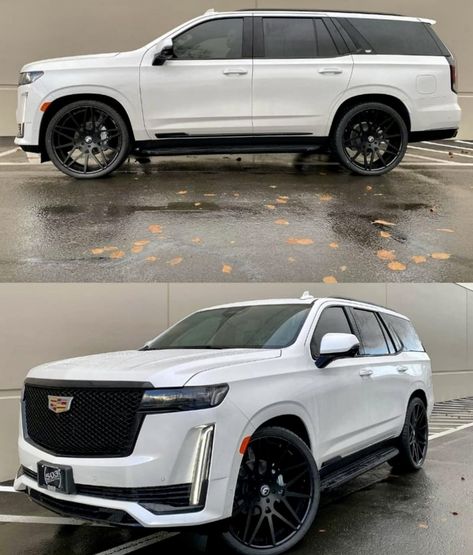 White Escalade Black Rims, 2023 Escalade, Blacked Out Cars, Best Suv Cars, Bmw Scrambler, Best Suv, Large Suv, Top Luxury Cars, Suv Cars