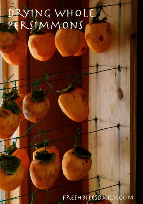 Drying persimmons in slices or whole How To Dry Persimmons, Preserving Persimmons, Persimmon Recipes, Red Orange Color, Dehydrated Fruit, Ripe Fruit, Dehydrated Food, Primal Paleo, Dehydrator Recipes