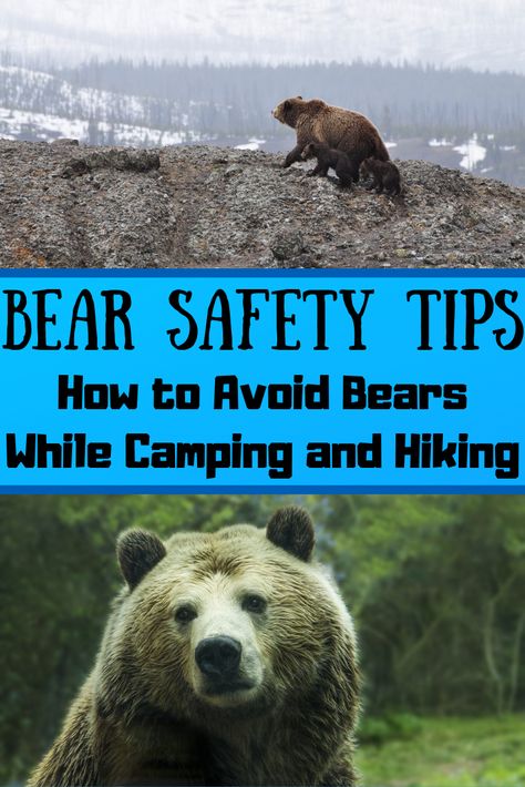 Spotting a bear is both a beautiful and terrifying experience at the same time. On one hand, bears are absolutely incredible creatures to see in the wild. On the other hand, they are powerful enough to tear a human apart. This guide outlines the bear safety tips that you need to know to avoid bears and enjoy a safe camping or hiking trip in bear country. #Bear #Camping #Hiking #Bears #Grizzly #BlackBear #BrownBear #Camp #Campground #Hiker #Backcountry #Wilderness #Hike #Grizzlybear #Bears Ultralight Backpacking, What To Take Camping, Bear Safety, Mountain Camping, Camping Needs, Bear Spray, Hiking And Camping, Backcountry Camping, Hiking Essentials