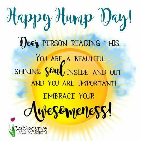 Happy Hump Day Happy Hump Day Quotes, Hump Day Quotes, Wednesday Hump Day, Wednesday Morning Quotes, Hump Day Humor, Happy Wednesday Quotes, Wednesday Quotes, Weekday Quotes, Wednesday Motivation